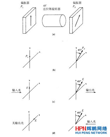 ���������D�͹���x��