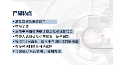 dlink雙口墻上型面板,雙口面板